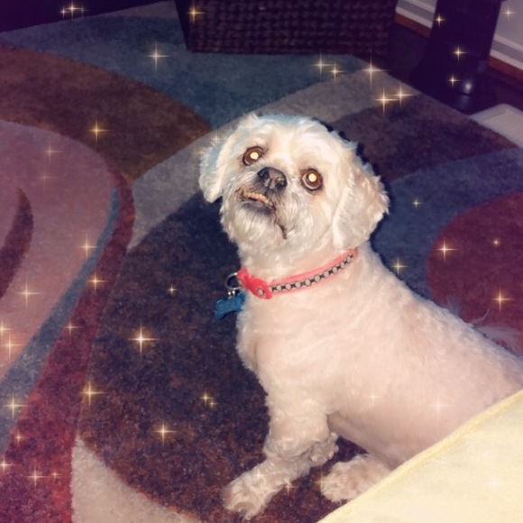 Meet your Posher, Nasya - Picture 1 of 1